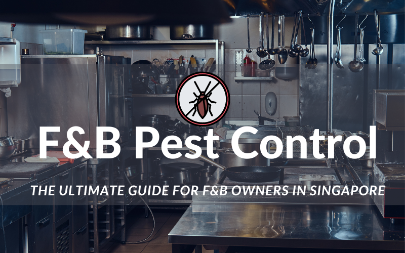 Ultimate Guide to Pest Control Services for F&B Owners in Singapore