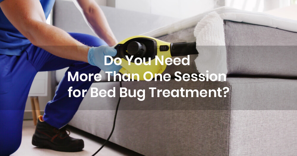 Do You Need More Than One Session for Bed Bug Treatment?