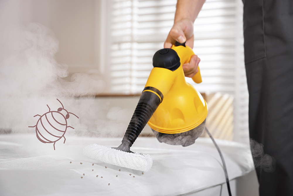 Chemical vs Heat Treatment for Bed Bugs: Which Is Better?
