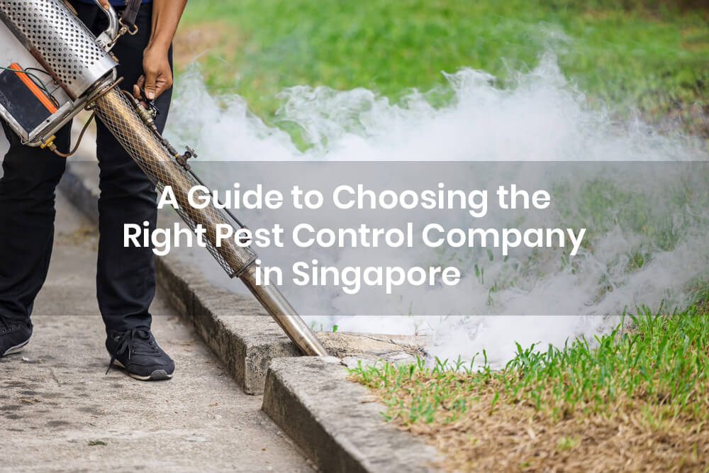 A Guide to Choosing the Right Pest Control Company in Singapore