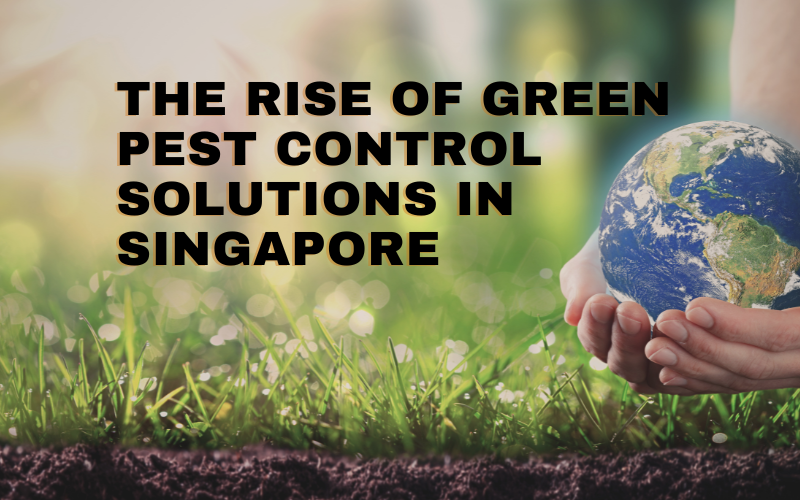 The Rise of Green Pest Control Solutions in Singapore