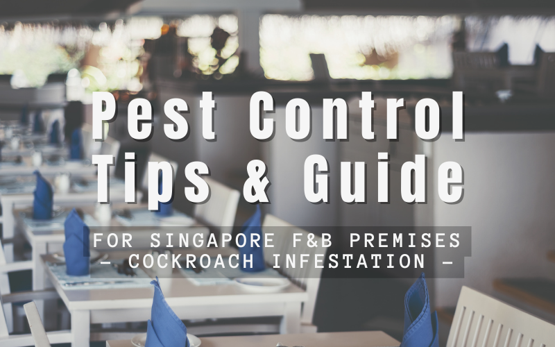 Get Rid of Cockroach Infestation from Your F&B Premises with Our Tips/Guide!