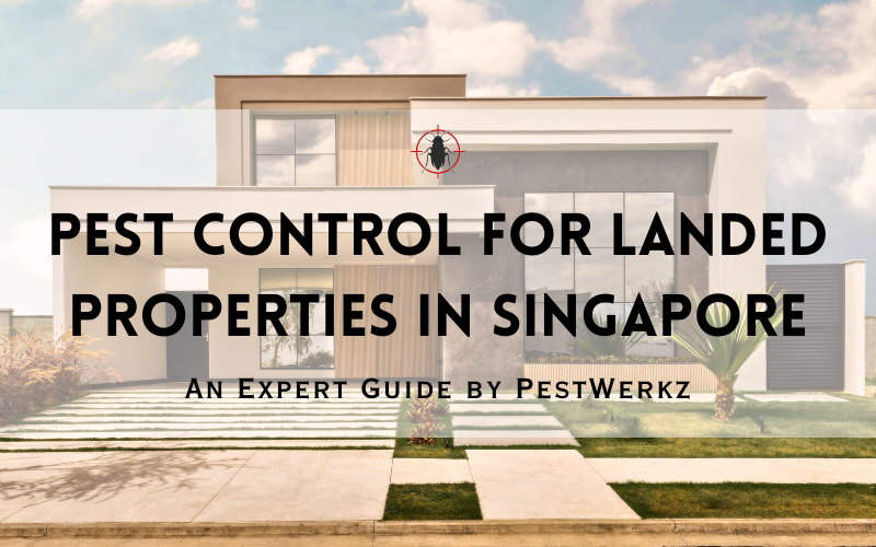 Pest Control for Landed Properties in Singapore: An Expert Guide by PestWerkz