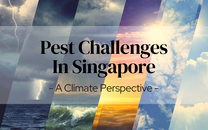 The Climatic Factors that Contribute to Pest Problems in Singapore