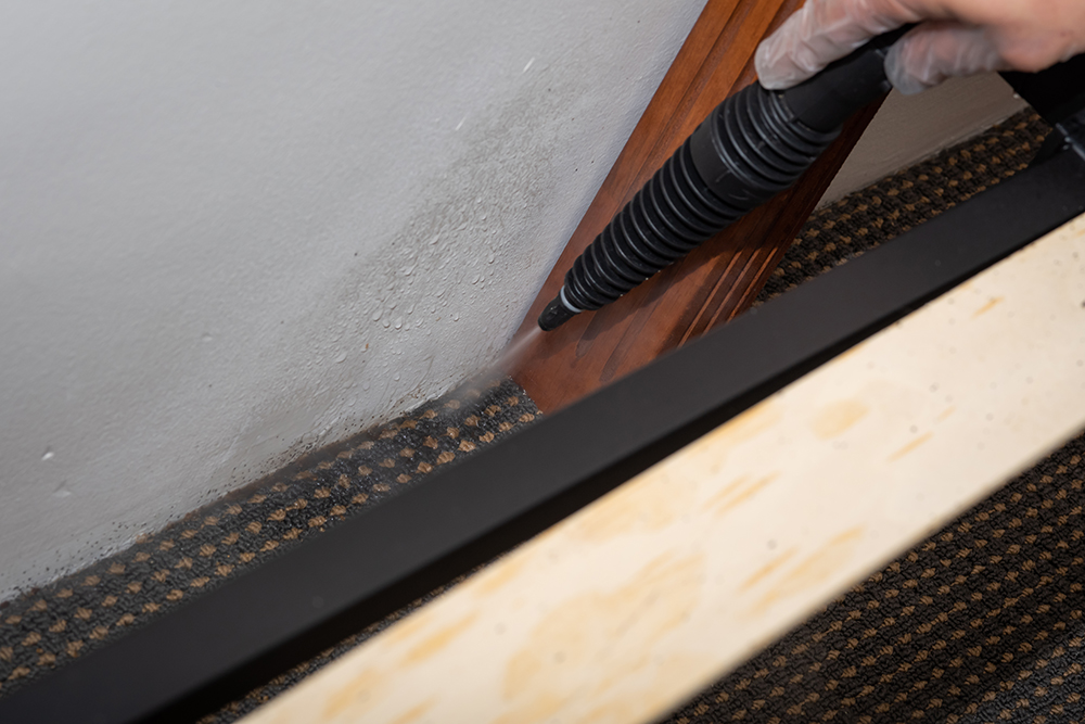 Chemical treatment for bed bugs