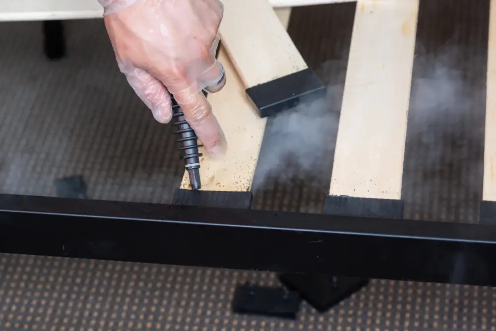 Professional bed bug treatment
